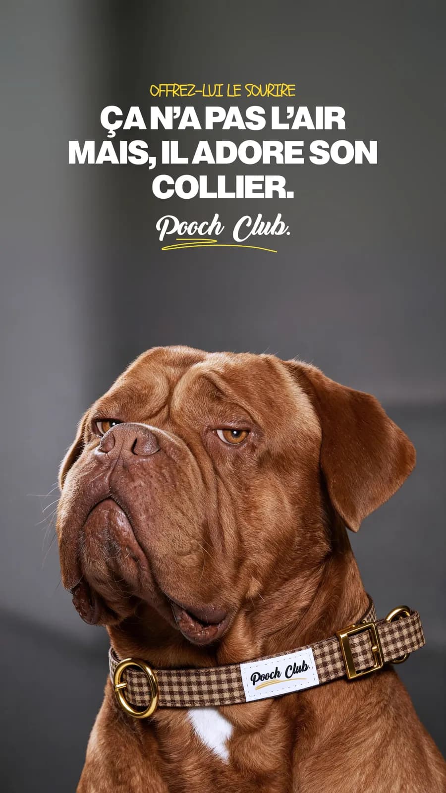 Créa Pooch Club collier